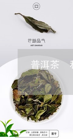 普洱茶 利尿/2023042987582